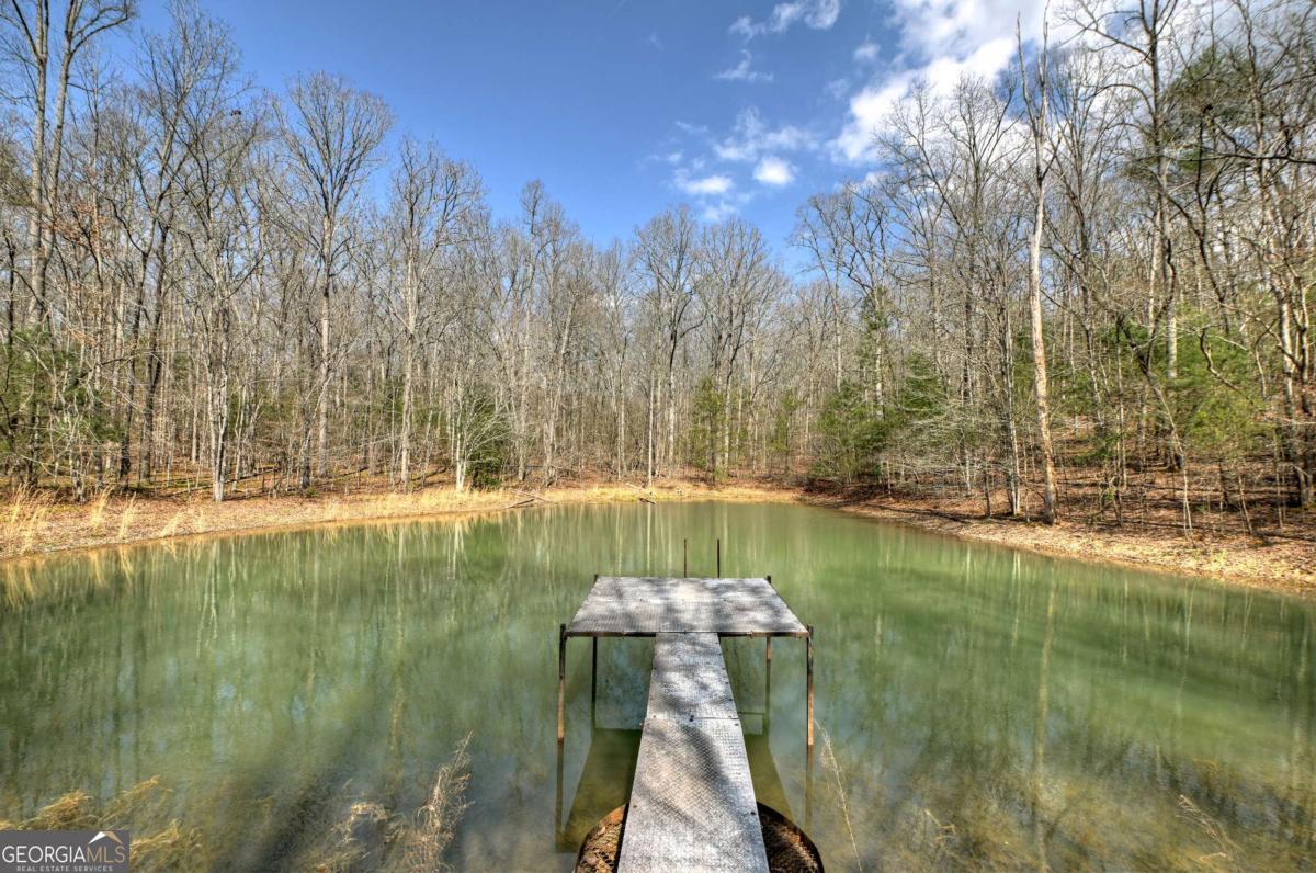 8.52-ac Mcnelley Road Morganton, GA 30560 - Photo 4 of 58