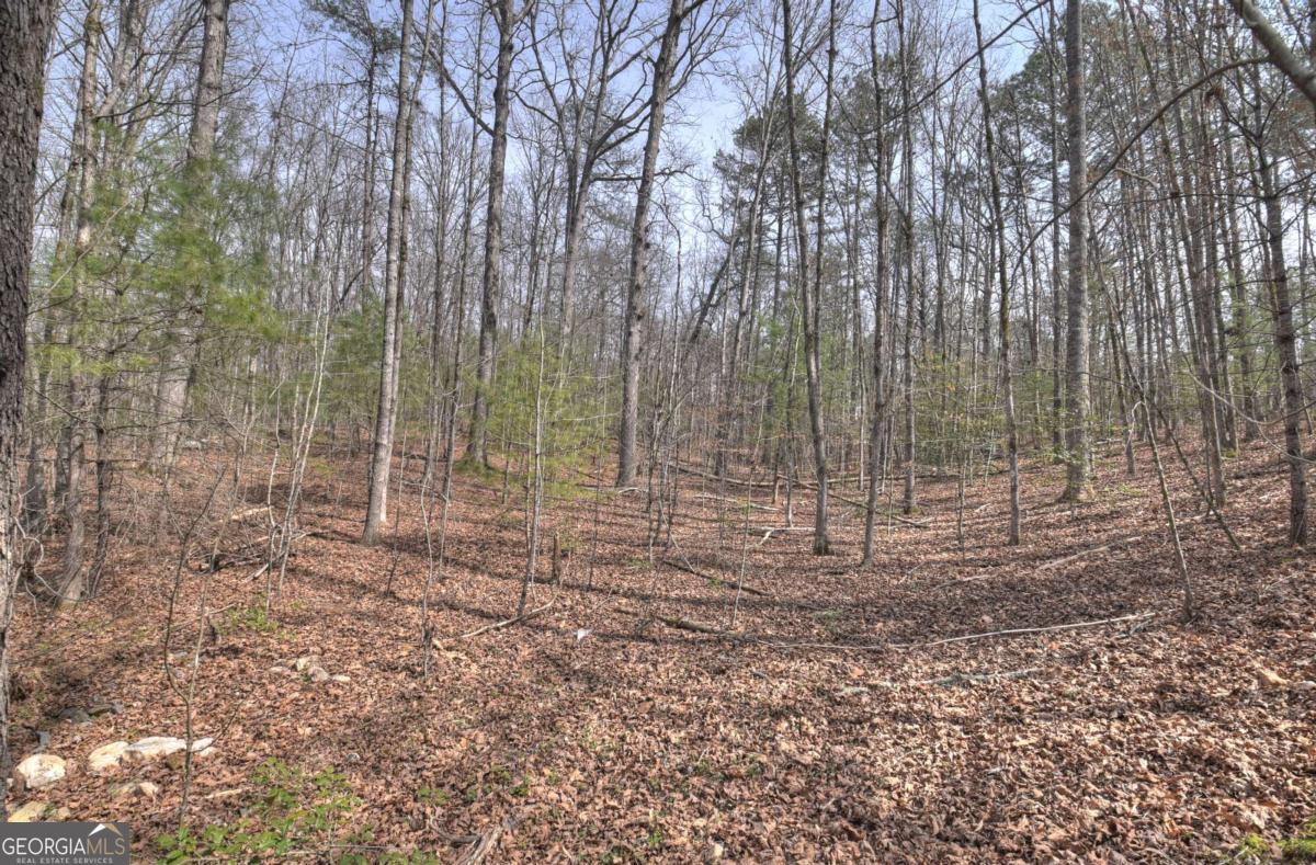 8.52-ac Mcnelley Road Morganton, GA 30560 - Photo 41 of 58