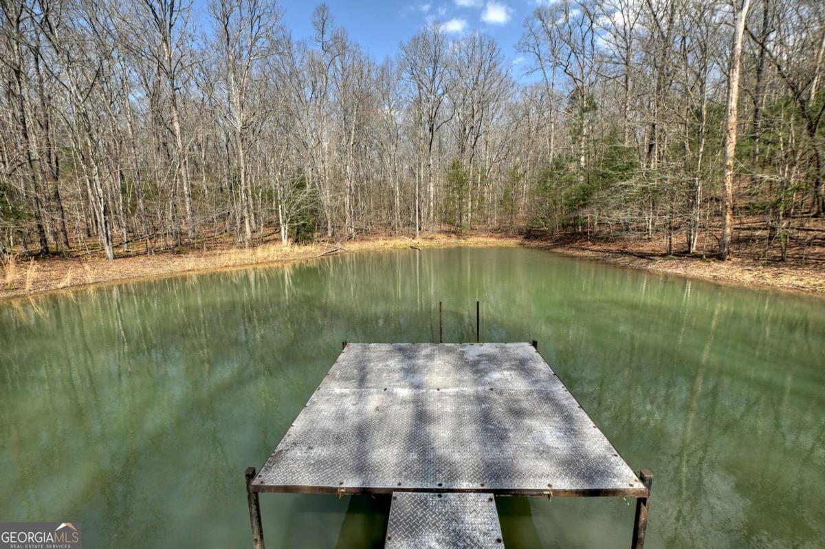 8.52-ac Mcnelley Road Morganton, GA 30560 - Photo 42 of 58