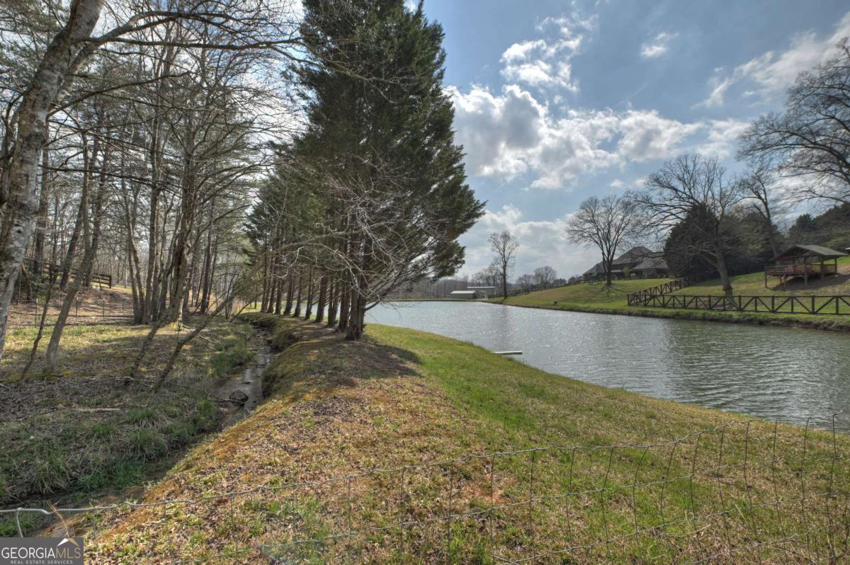 8.52-ac Mcnelley Road Morganton, GA 30560 - Photo 43 of 58