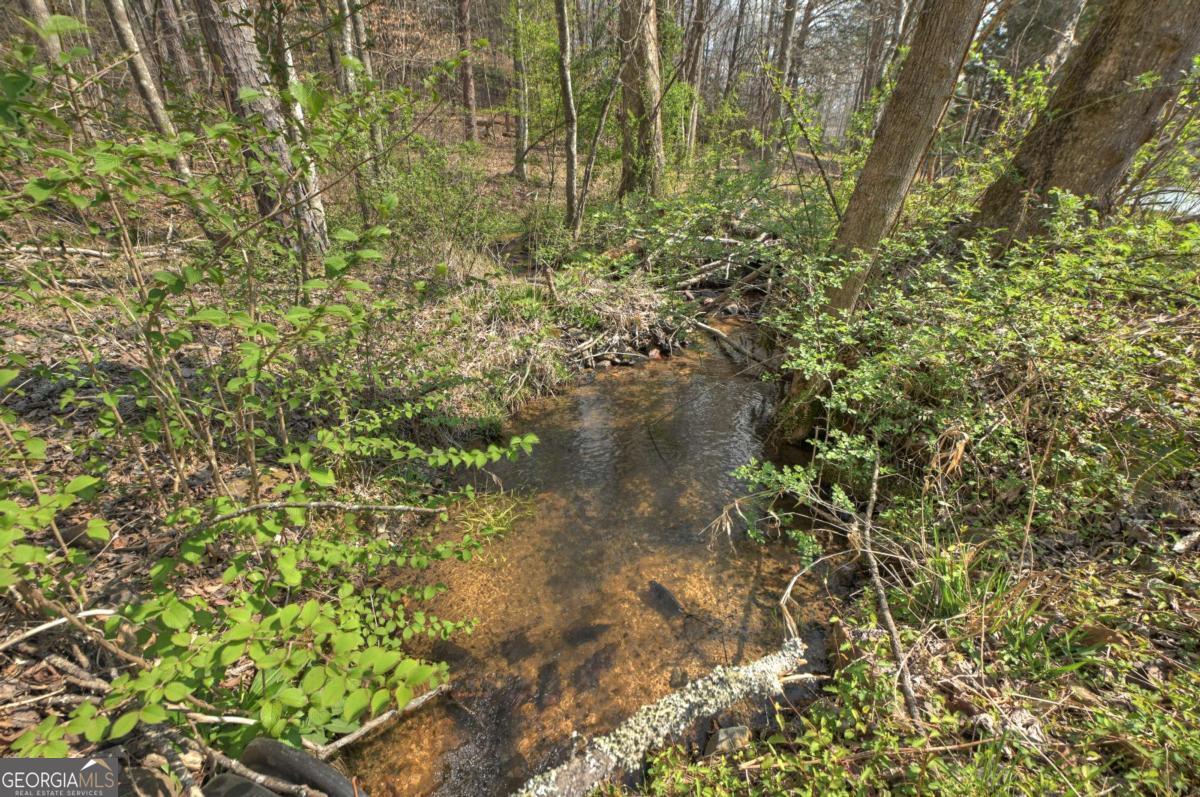 8.52-ac Mcnelley Road Morganton, GA 30560 - Photo 44 of 58