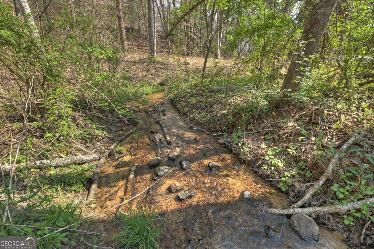 8.52-ac Mcnelley Road Morganton, GA 30560 - Photo 45 of 58