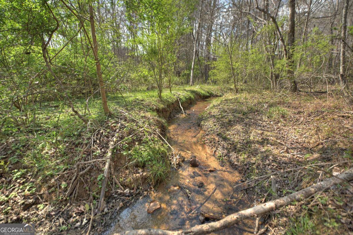 8.52-ac Mcnelley Road Morganton, GA 30560 - Photo 46 of 58