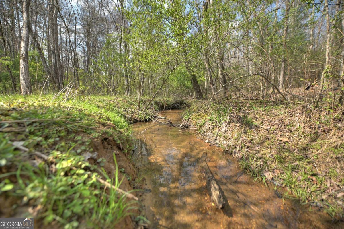 8.52-ac Mcnelley Road Morganton, GA 30560 - Photo 47 of 58