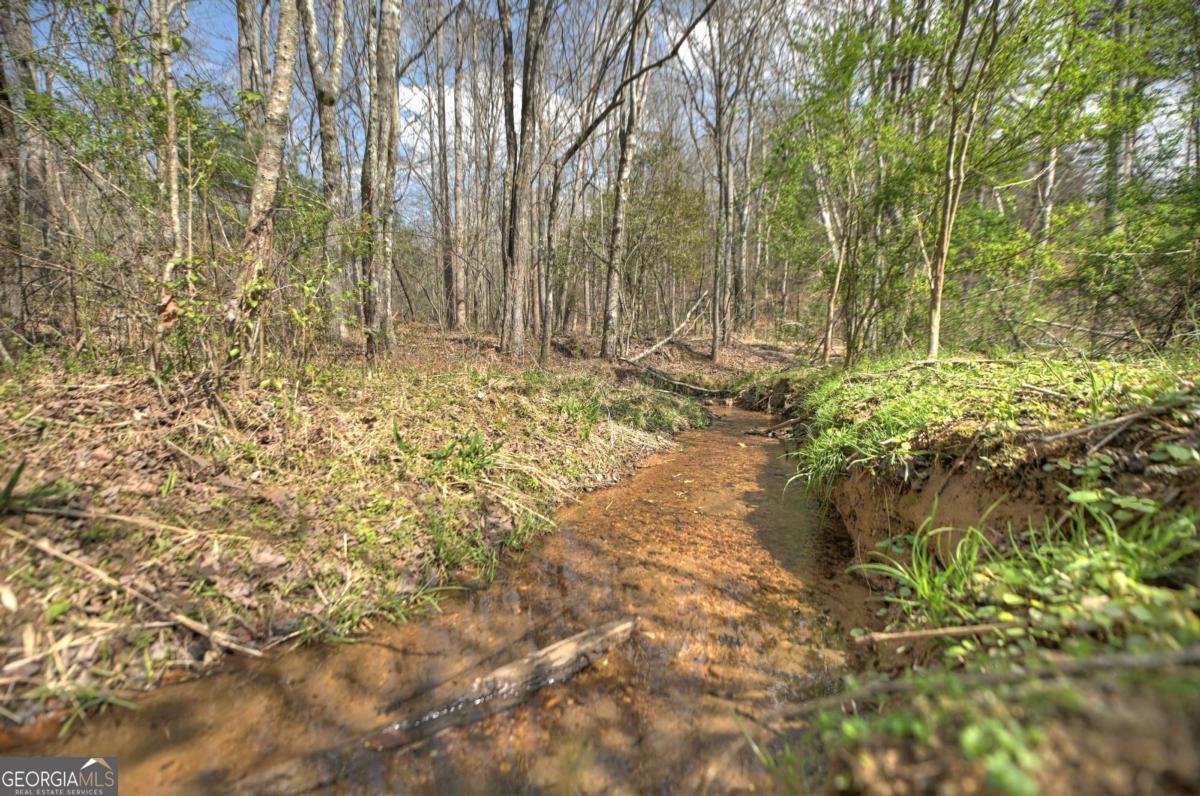 8.52-ac Mcnelley Road Morganton, GA 30560 - Photo 48 of 58