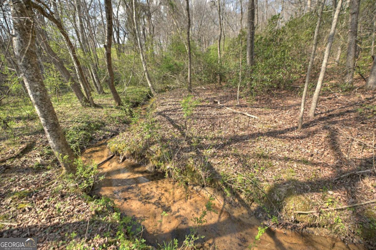 8.52-ac Mcnelley Road Morganton, GA 30560 - Photo 49 of 58