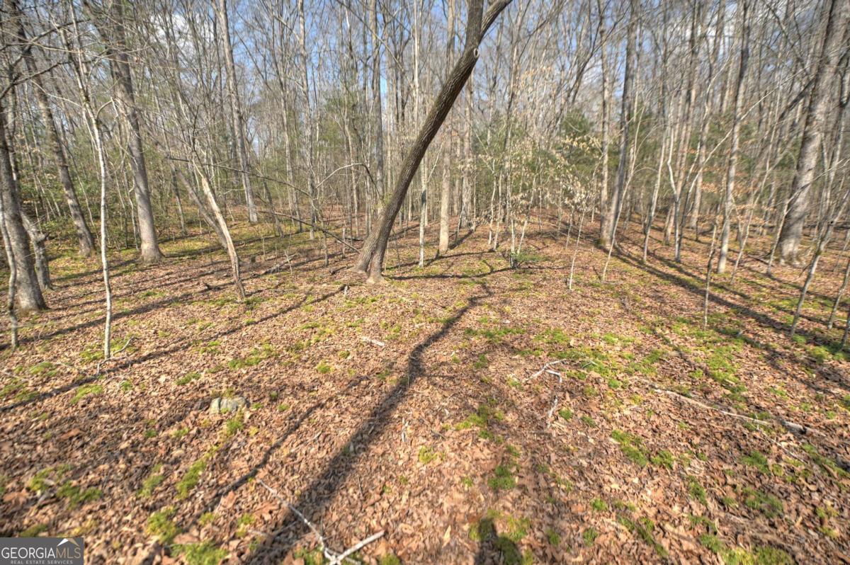 8.52-ac Mcnelley Road Morganton, GA 30560 - Photo 51 of 58