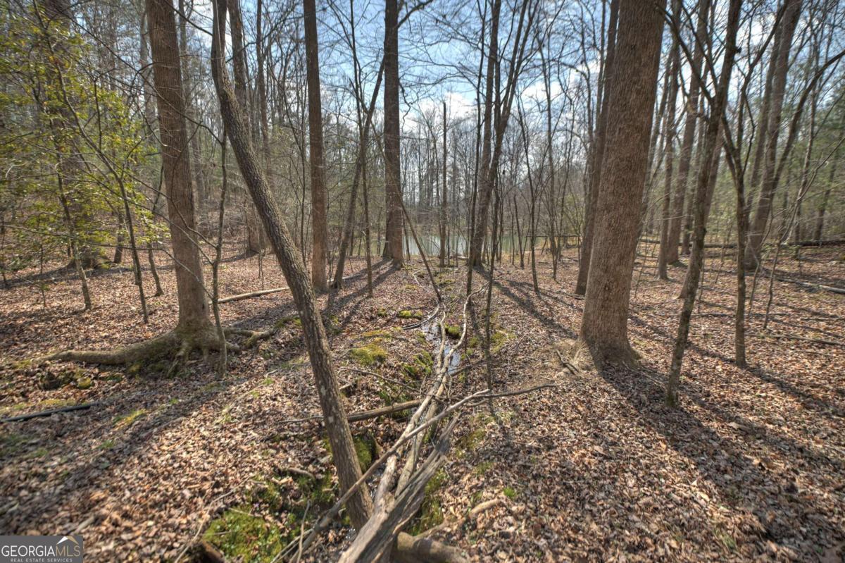 8.52-ac Mcnelley Road Morganton, GA 30560 - Photo 52 of 58