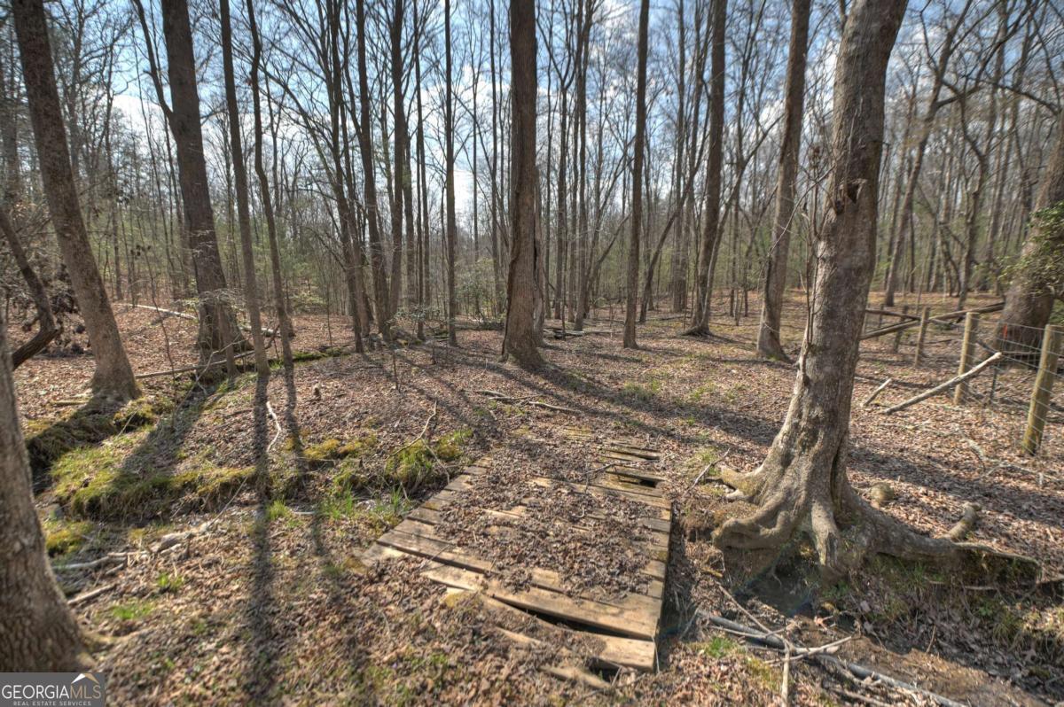 8.52-ac Mcnelley Road Morganton, GA 30560 - Photo 53 of 58