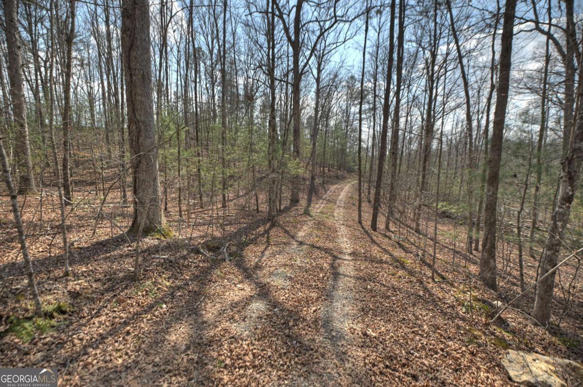 8.52-ac Mcnelley Road Morganton, GA 30560 - Photo 7 of 58