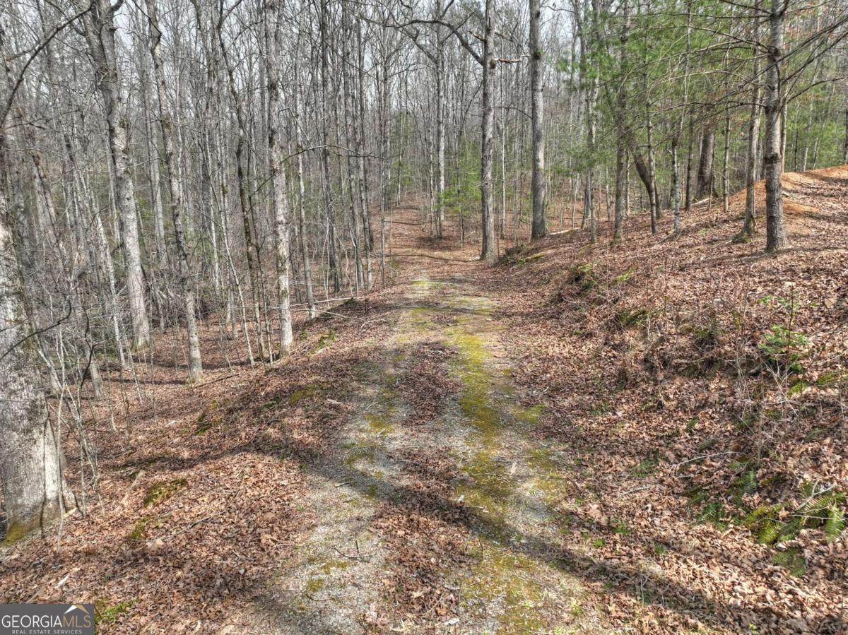 8.52-ac Mcnelley Road Morganton, GA 30560 - Photo 8 of 58