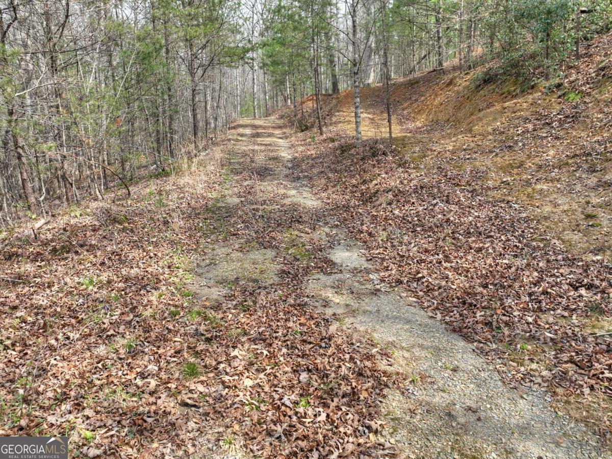 8.52-ac Mcnelley Road Morganton, GA 30560 - Photo 9 of 58