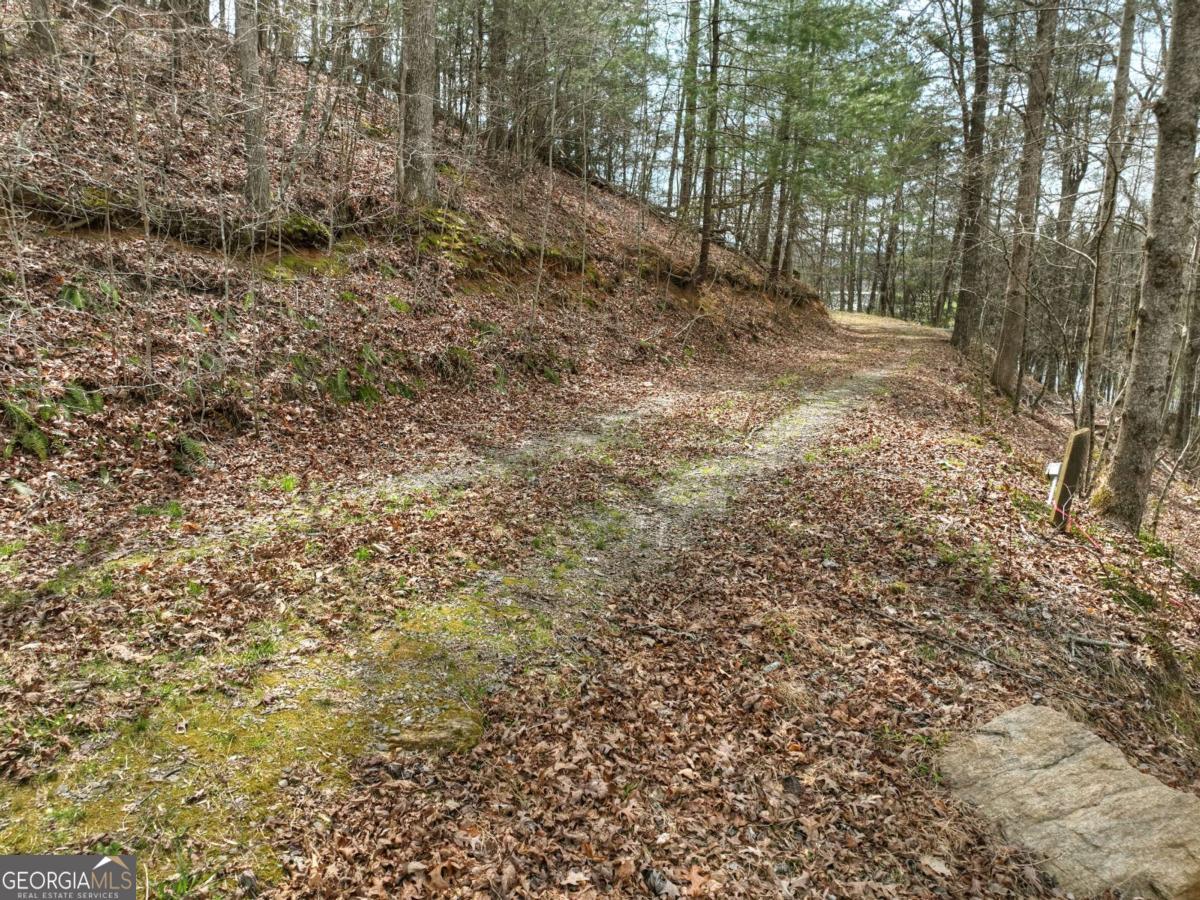 8.52-ac Mcnelley Road Morganton, GA 30560 - Photo 10 of 58