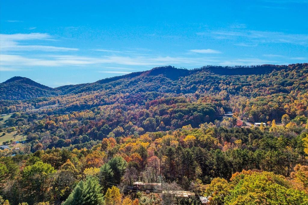 3786 Thomas Cross Road Sevierville, TN 37876 - Photo 4 of 70 Gallery Image 4