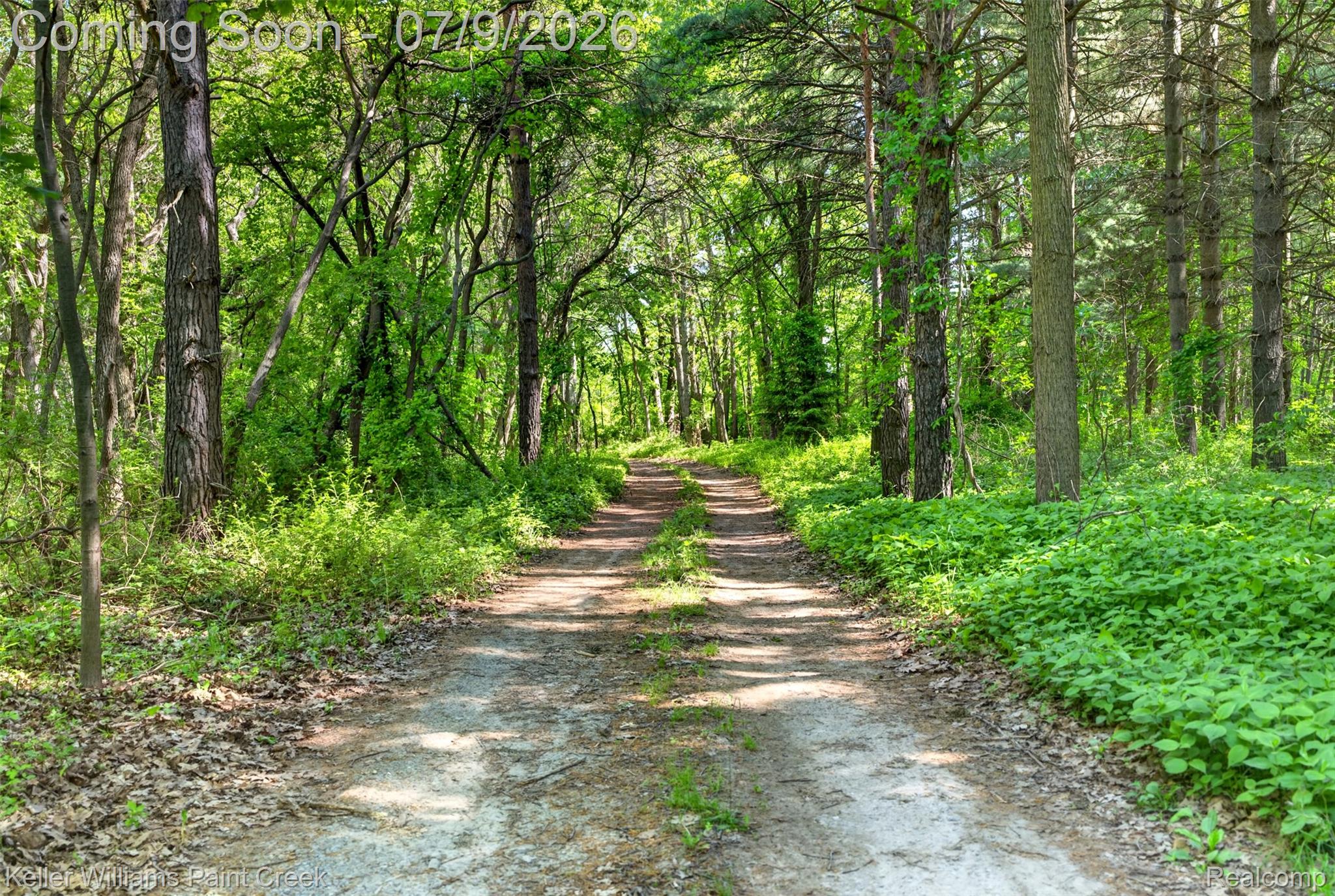 204 Russell Road Kawkawlin, MI 48631 - Photo 14 of 82 Wooded property featuring a natural dirt path
