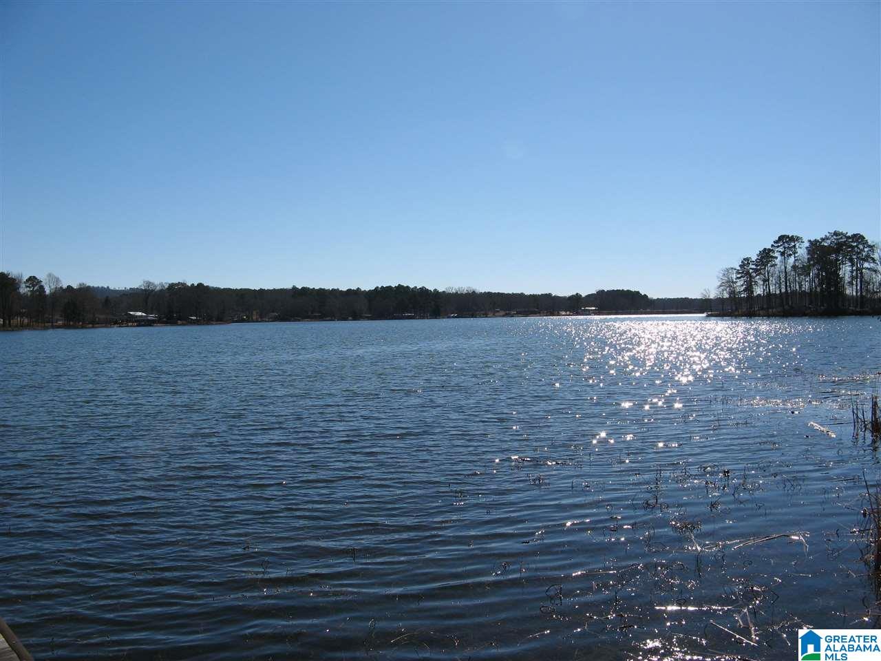 597 Cove Road Sylacauga, AL 35151 - Photo 31 of 35