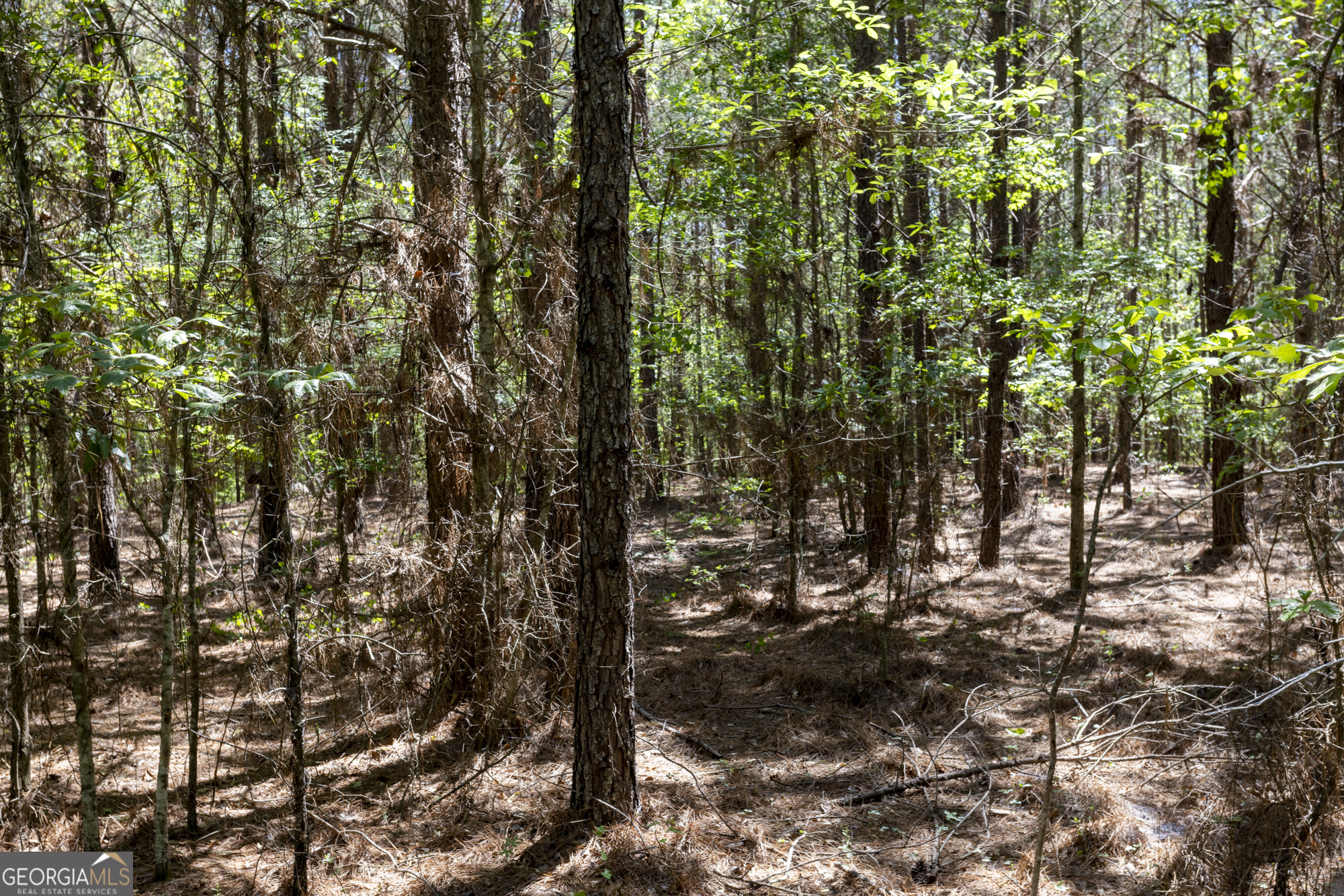 0 Old Griswoldville Road Macon, GA 31217 - Photo 4 of 62
