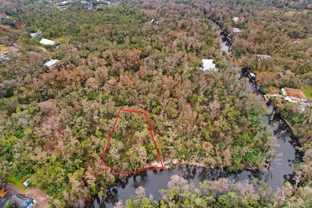 4872 Rambling River Road Brandon, FL 33511 - Photo 13 of 29 a view of a plants