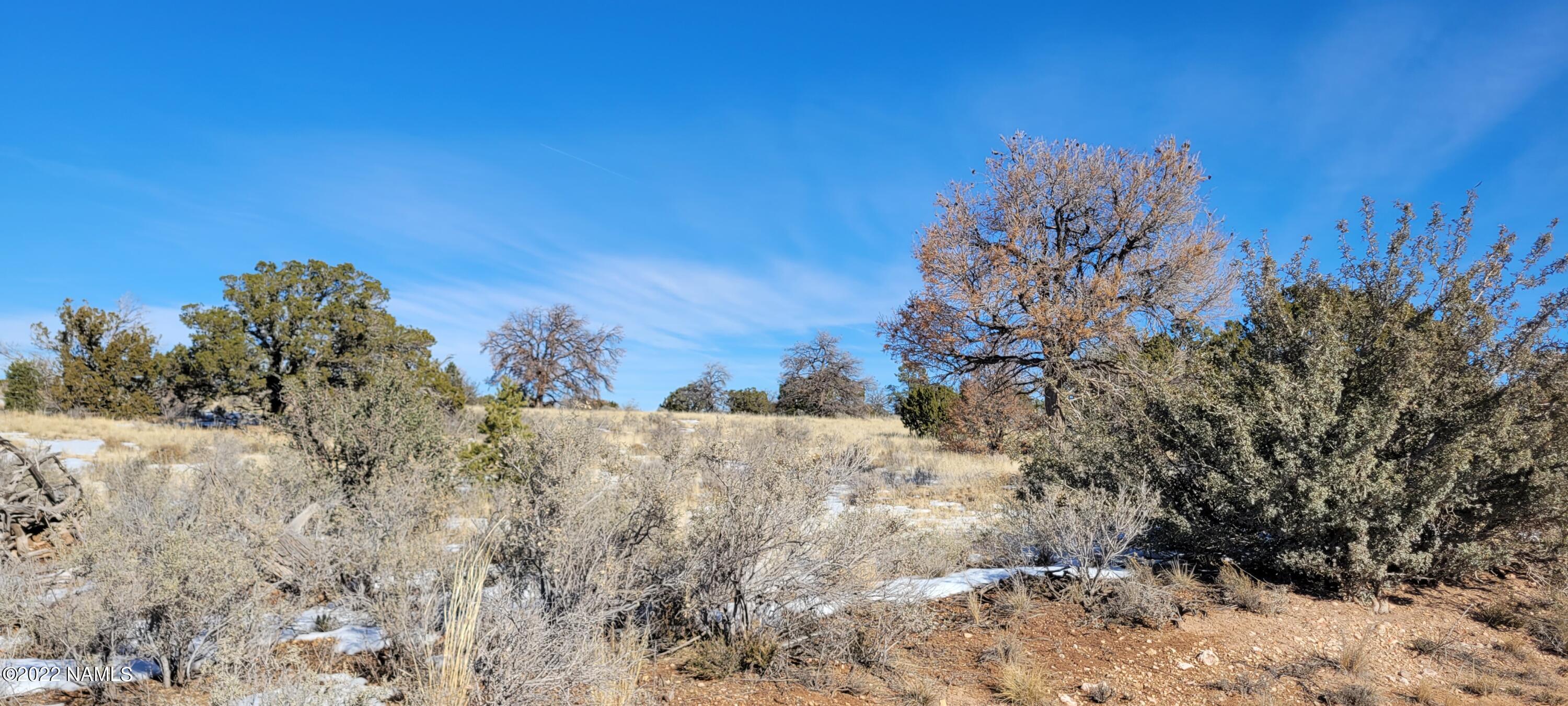 2871 East Woodland Ranch Road Williams, AZ 86046 - Photo 1 of 25 20221221_124746