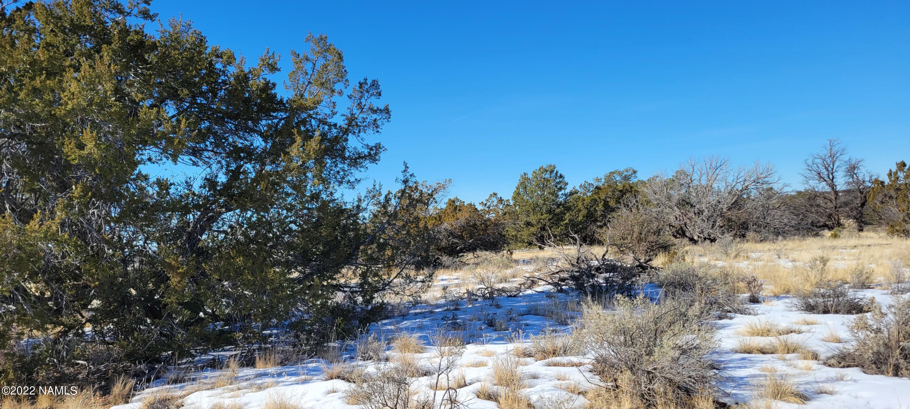 2871 East Woodland Ranch Road Williams, AZ 86046 - Photo 23 of 25 20221221_125543