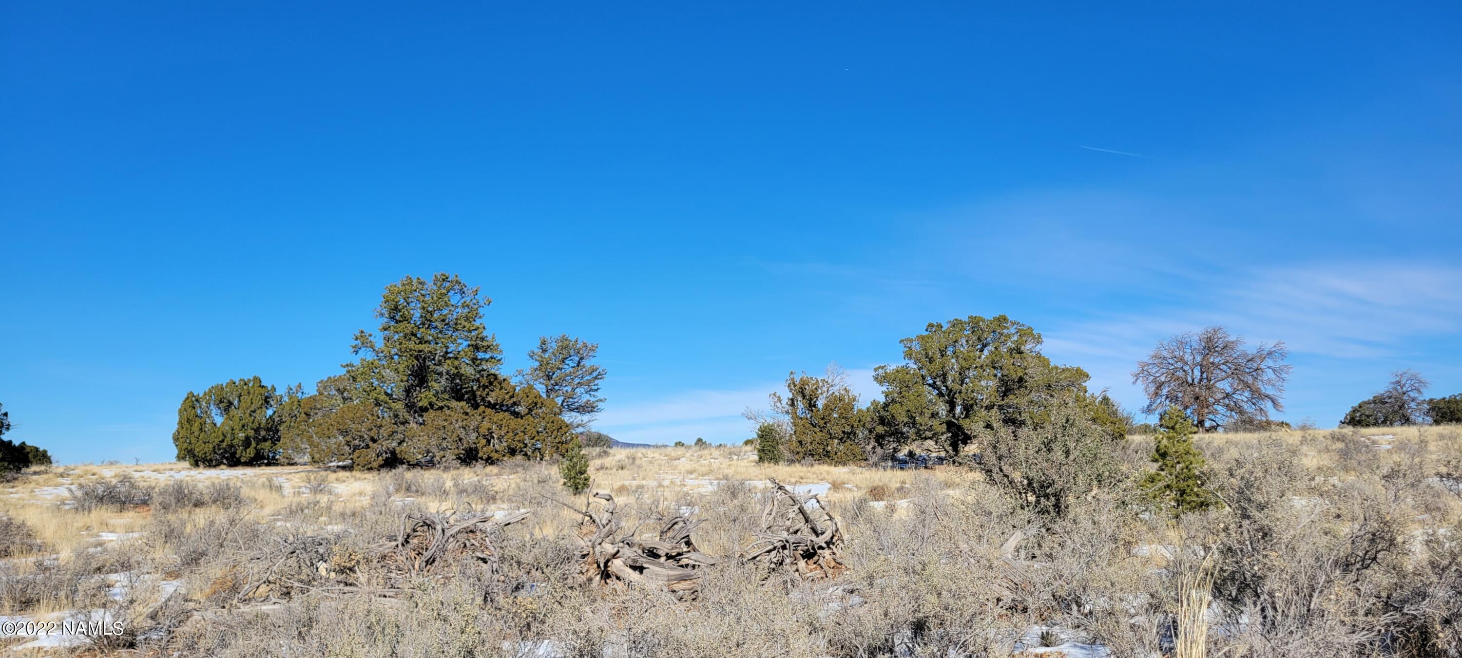2871 East Woodland Ranch Road Williams, AZ 86046 - Photo 4 of 25 20221221_124807