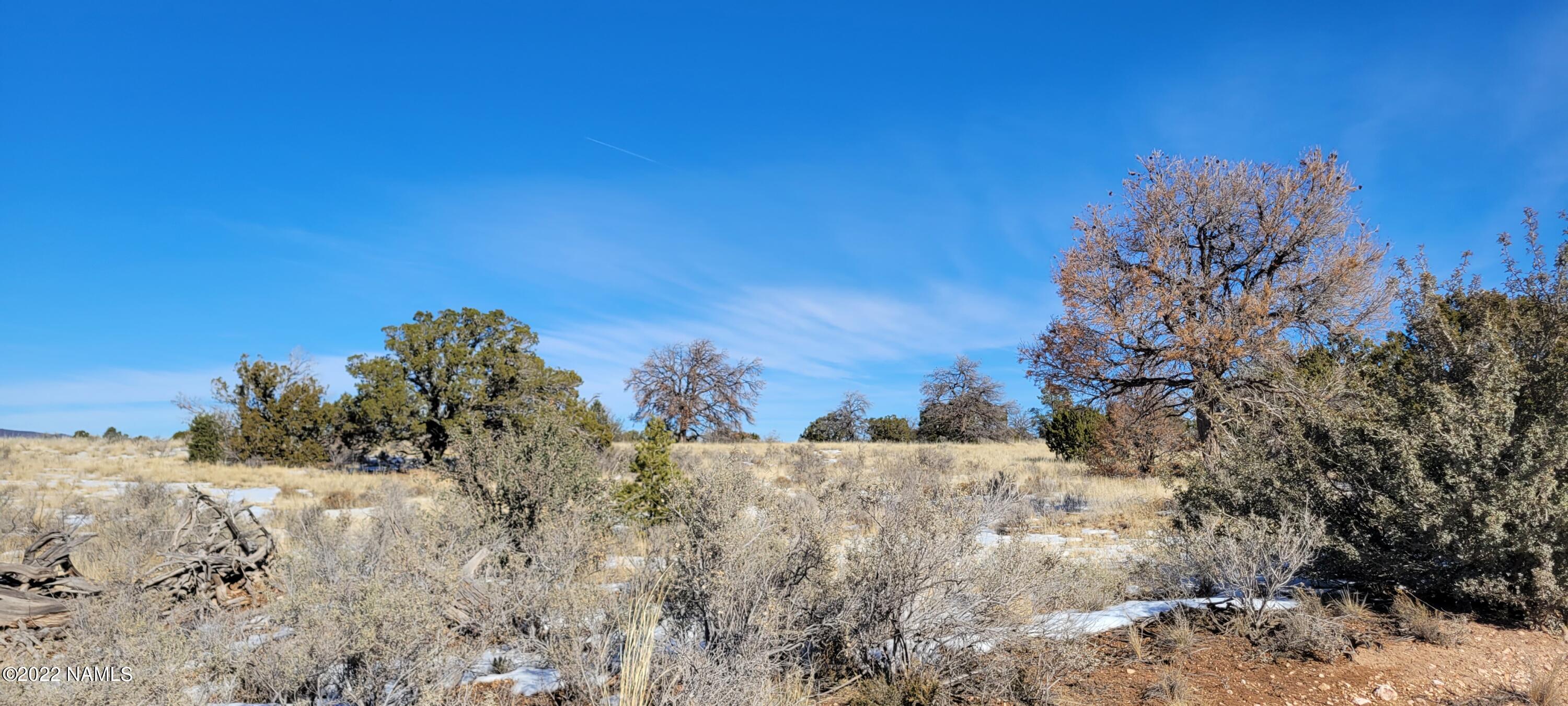 2871 East Woodland Ranch Road Williams, AZ 86046 - Photo 5 of 25 20221221_124810