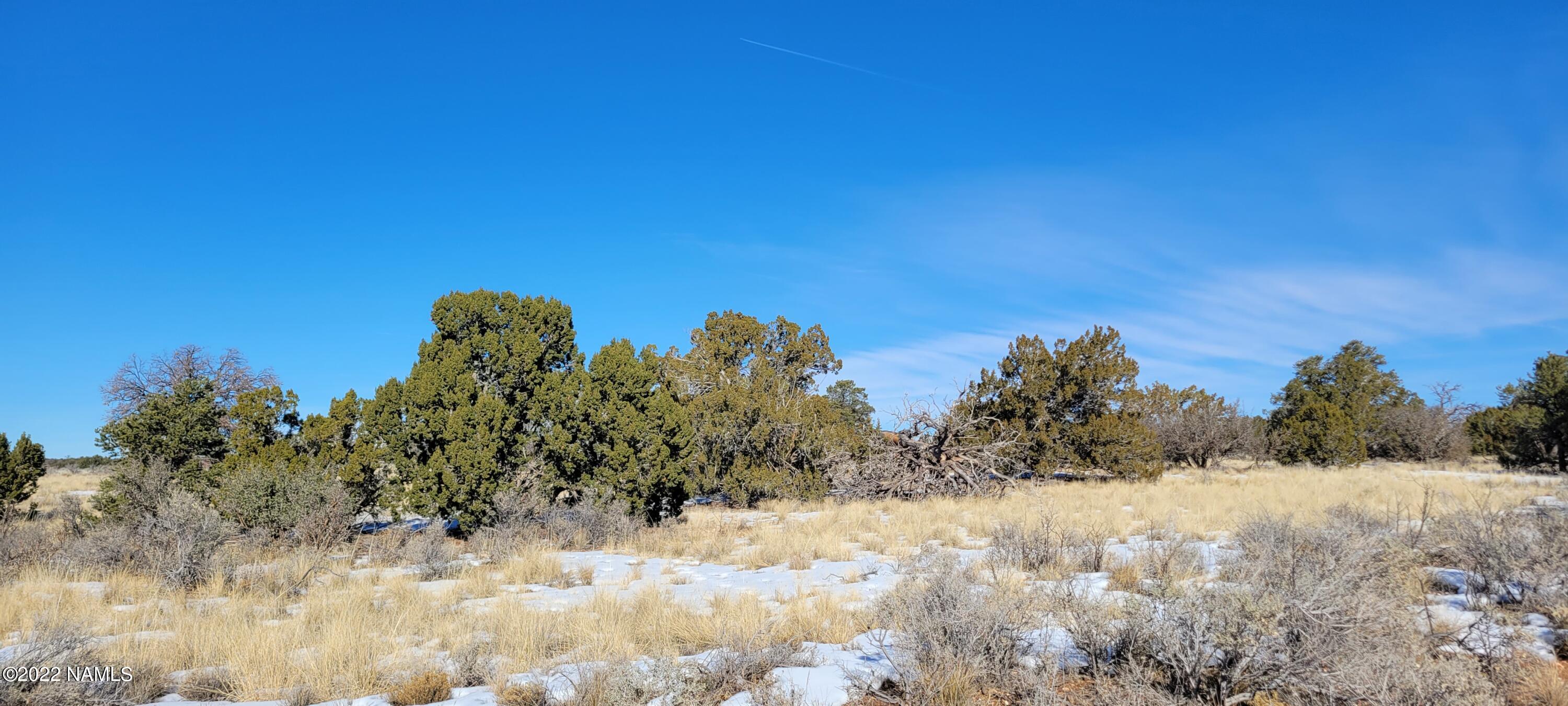 2871 East Woodland Ranch Road Williams, AZ 86046 - Photo 7 of 25 20221221_124853