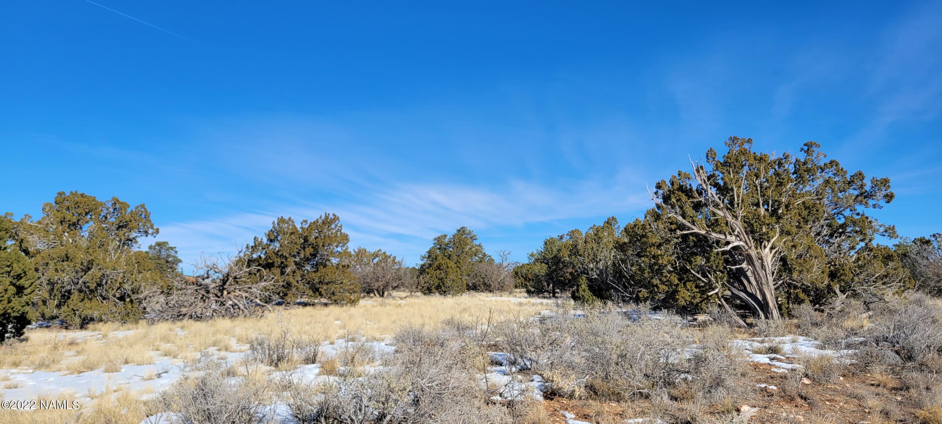 2871 East Woodland Ranch Road Williams, AZ 86046 - Photo 8 of 25 20221221_124856