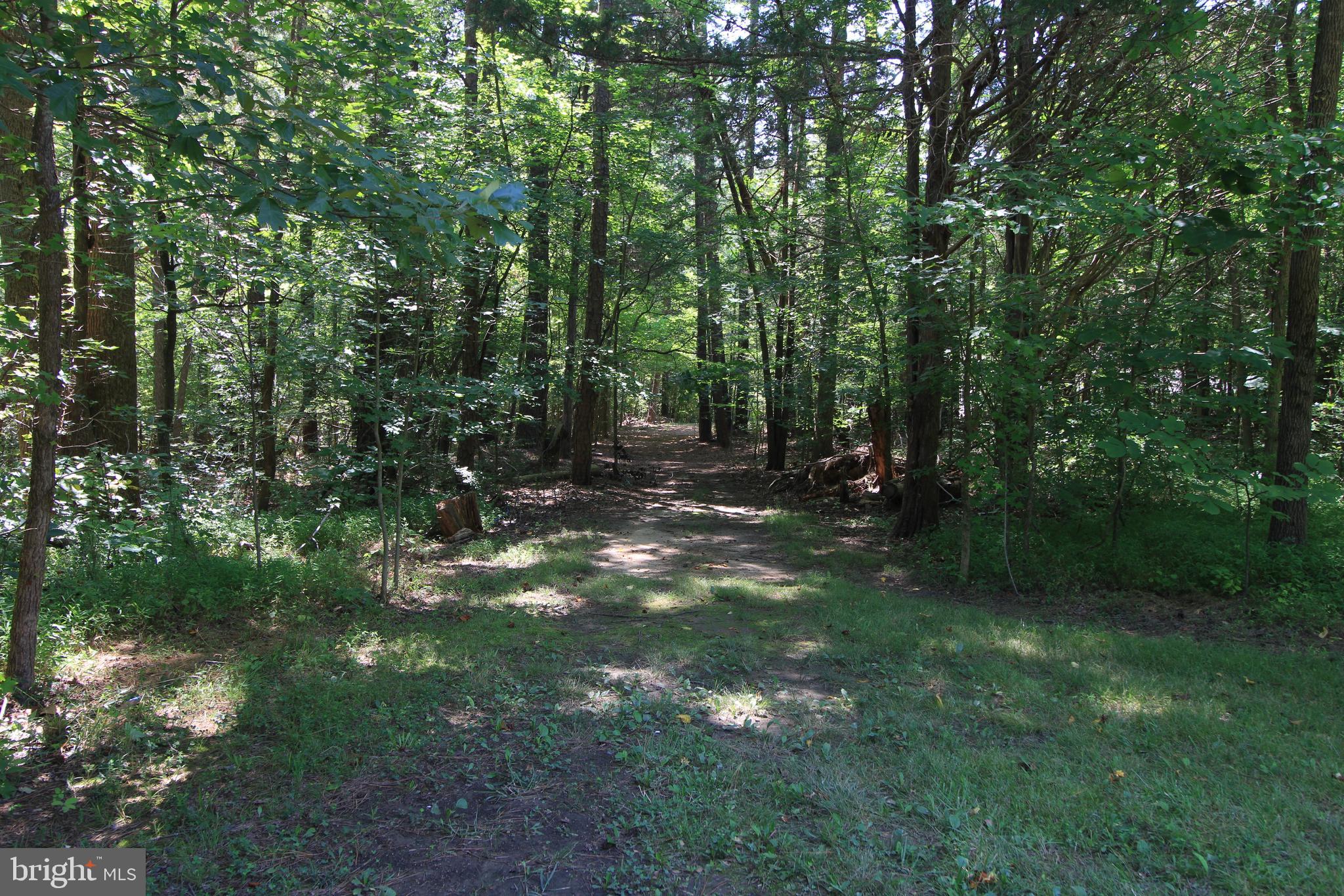 512 Mountain Hall Road Crewe, VA 23930 - Photo 44 of 50