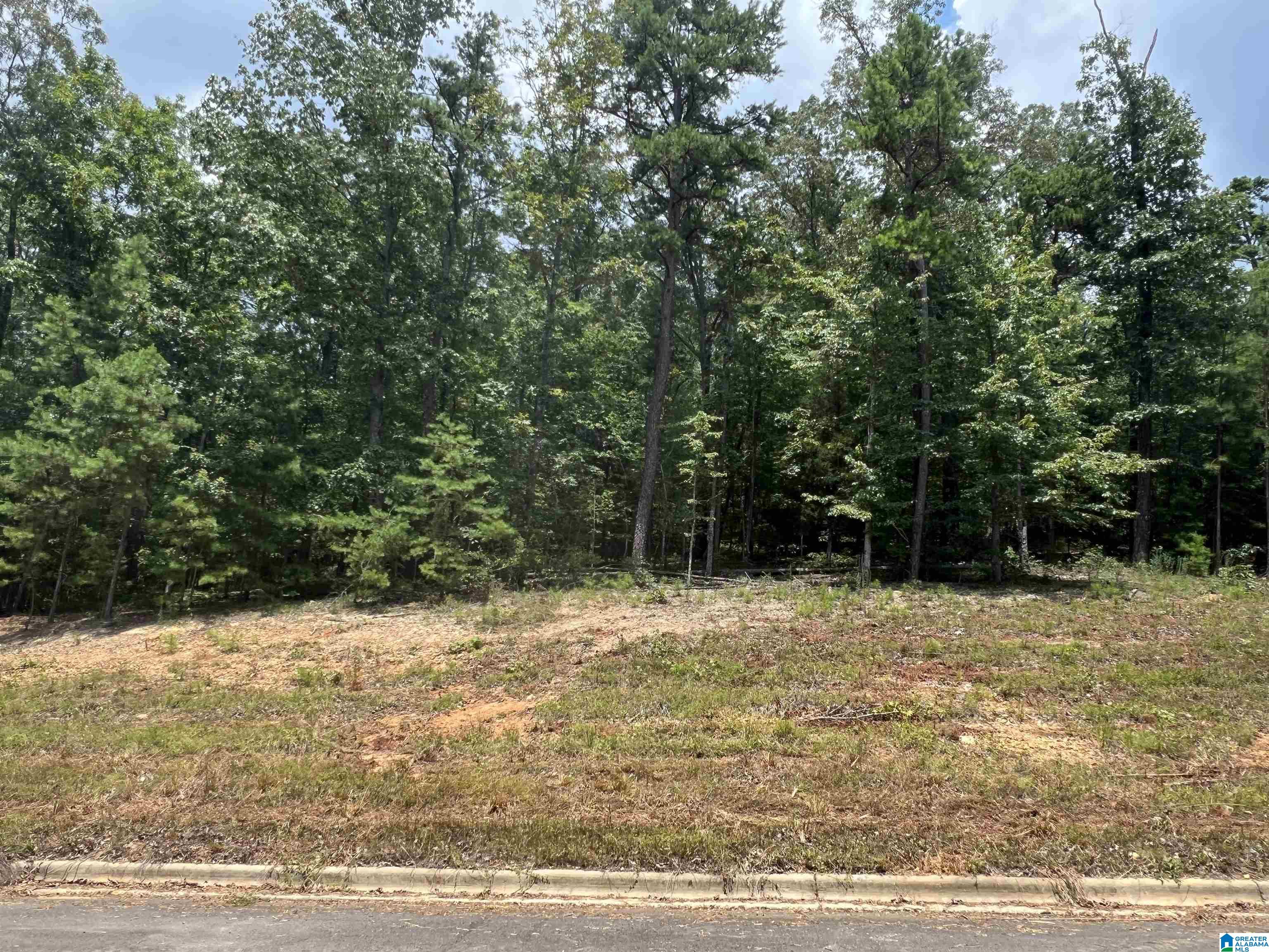 845 Redhawk Ridge, Unit 34 Springville, AL 35146 - Photo 1 of 11