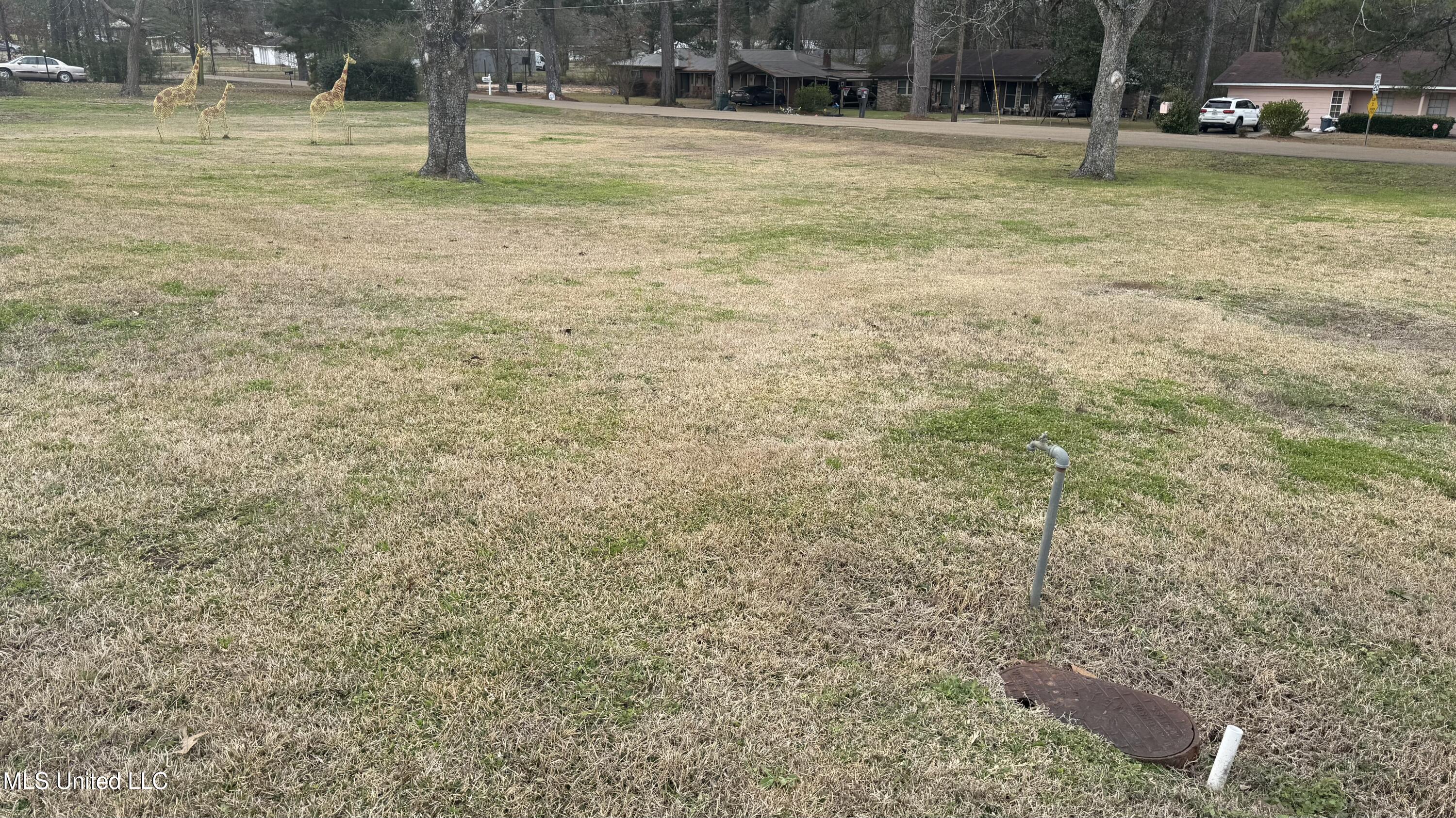 415 Townsend Road Forest, MS 39074 - Photo 18 of 23 IMG_4683