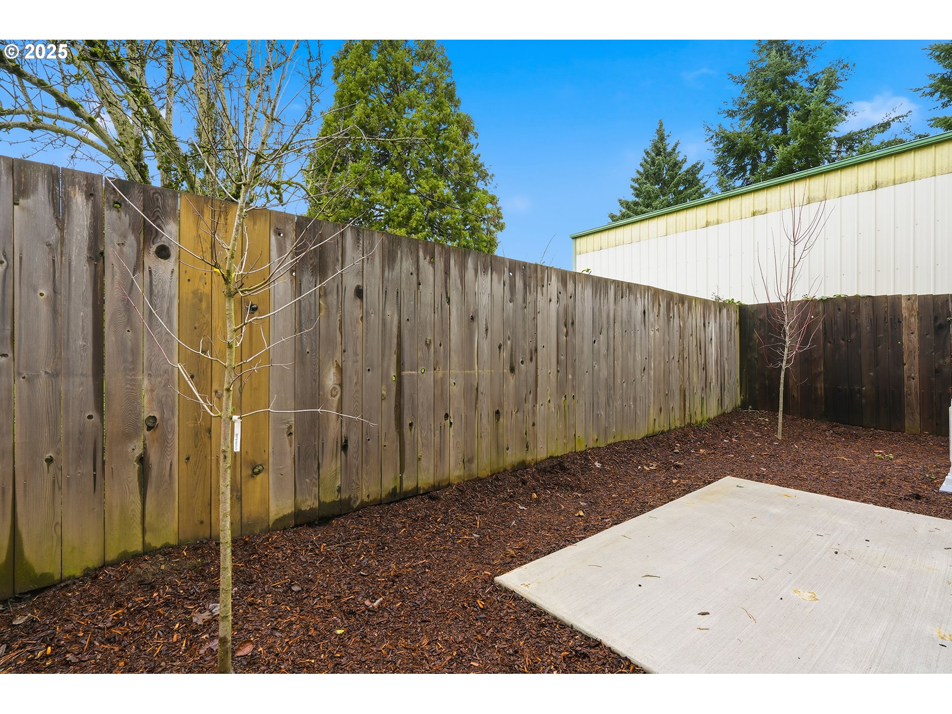 4537 Southeast 97th Avenue Portland, OR 97266 - Photo 16 of 16 a backyard of a house