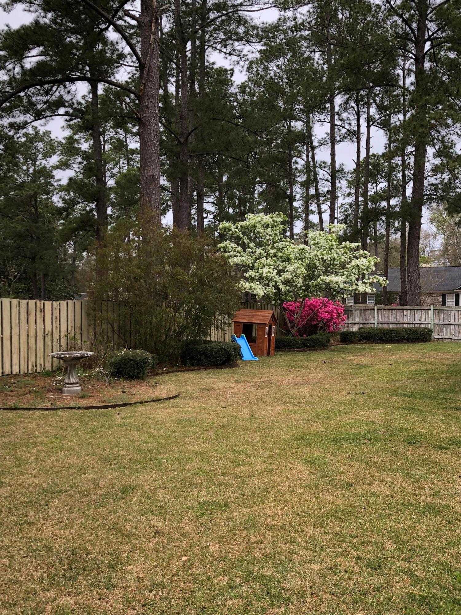 115 Lynnwood Road Walterboro, SC 29488 - Photo 4 of 41 269C6DA9-3CD8-47FF-BAD9-C3A315EC0C40