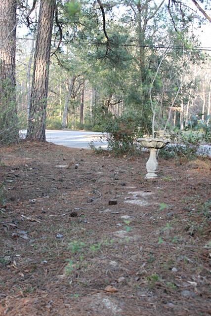 115 Lynnwood Road Walterboro, SC 29488 - Photo 8 of 41 853F2061-B309-4173-9D18-2DF7F413DC2A