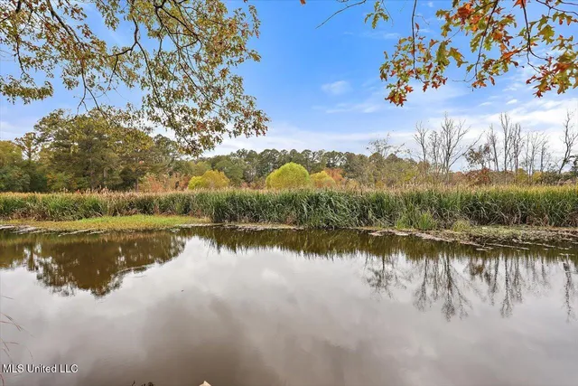 $449,999 | 363 Lake Harbor Road, Brandon, MS 39047