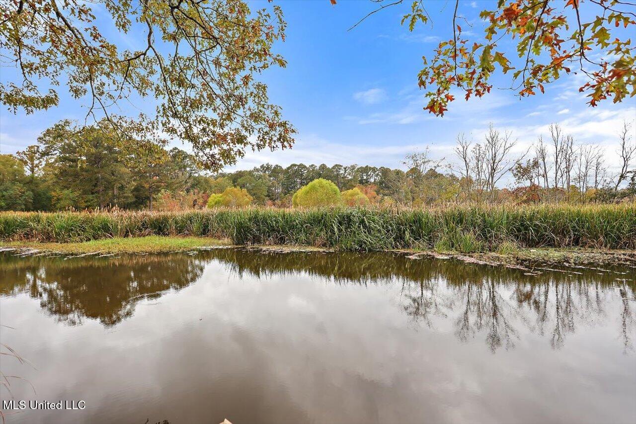 363 Lake Harbor Road Brandon, MS 39047 - Photo 105 of 122 54-363 Lake Harbor Rd