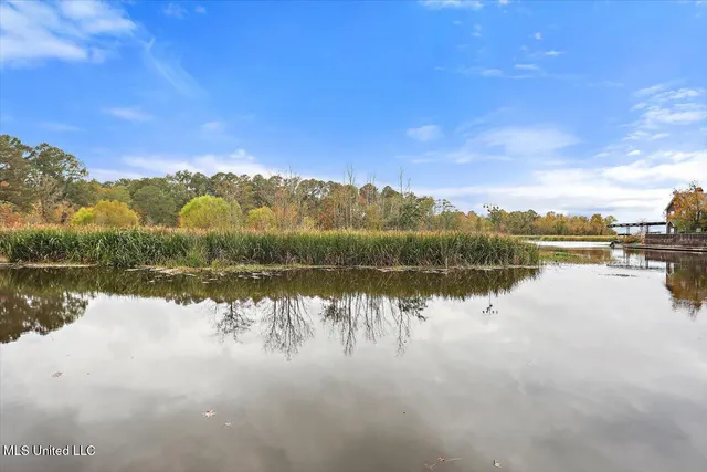 $449,999 | 363 Lake Harbor Road, Brandon, MS 39047