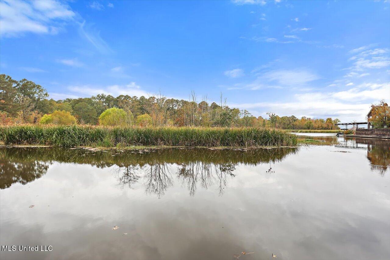 363 Lake Harbor Road Brandon, MS 39047 - Photo 107 of 122 58-363 Lake Harbor Rd