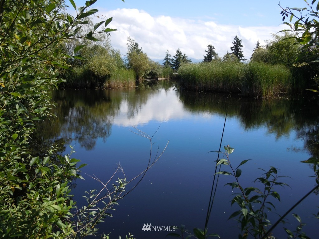 18546 Best Road Mount Vernon, WA 98273 - Photo 1 of 1