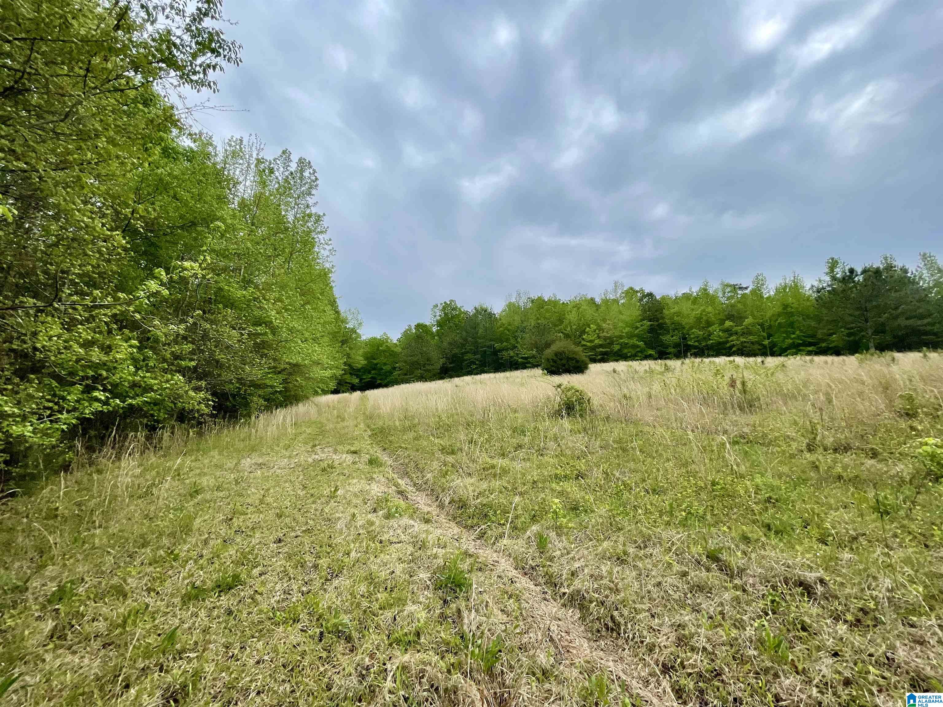 3927 Brazel Mill Road Altoona, AL 35952 - Photo 4 of 21
