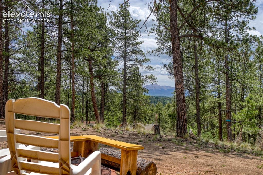 2927 Pathfinder Road Florissant, CO 80816 - Photo 11 of 37