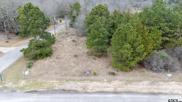 $17,900 | Lot 65 Durango Path, Holly Lake Ranch, TX 75765