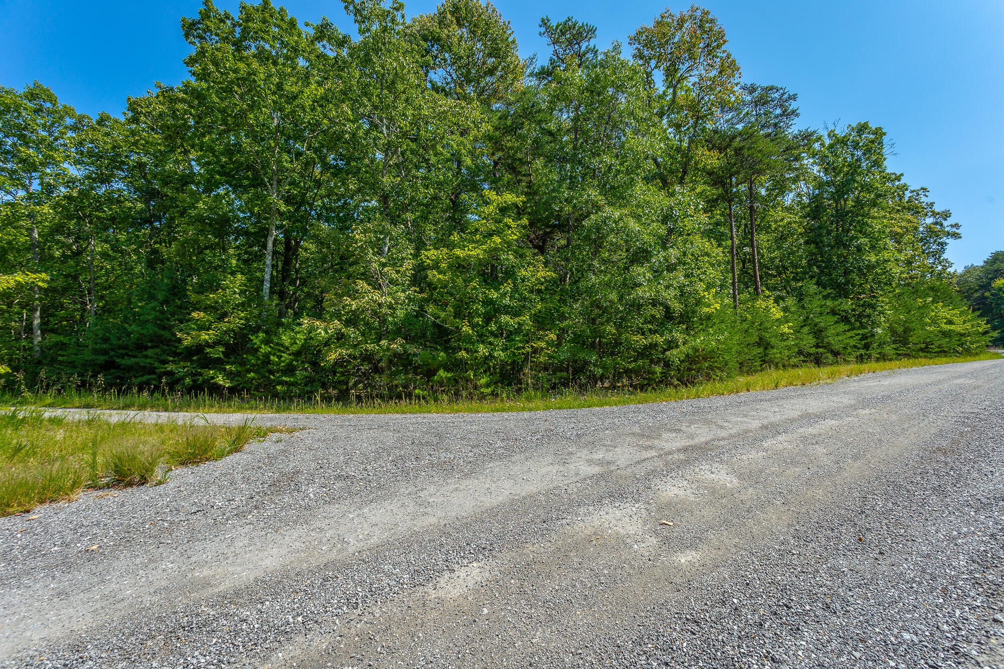 6 Highlands Forest Road Cloudland, GA 30731 - Photo 8 of 100 Gallery Image 8
