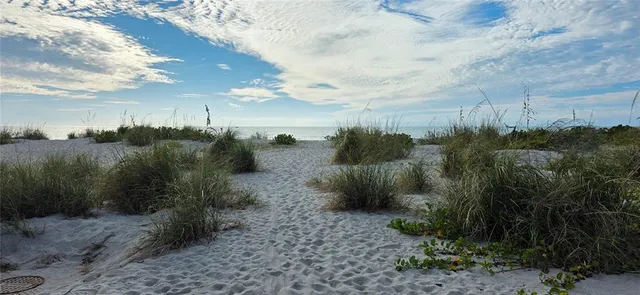 a view of a city with lots of green space
