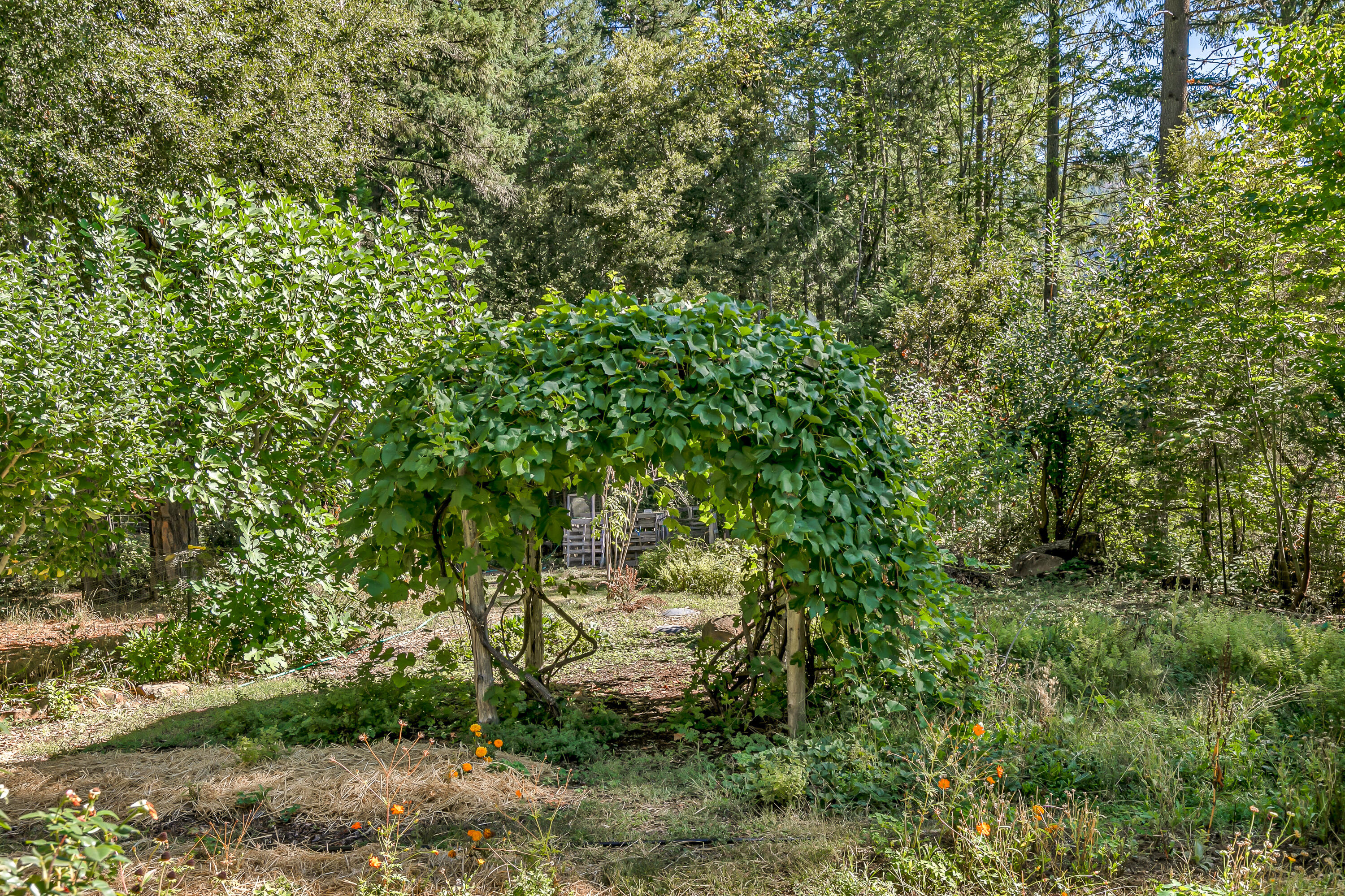 3496 East Fork Road Williams, OR 97544 - Photo 35 of 97 house garden