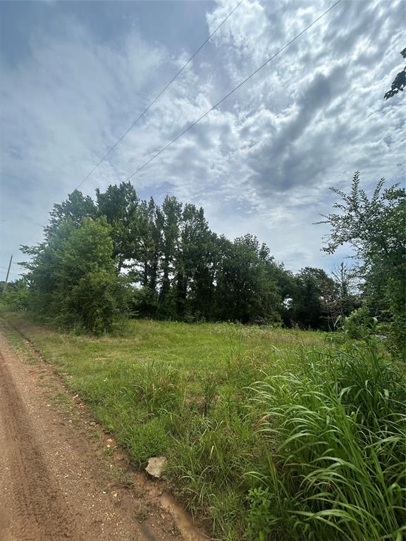 664 River Ferry Road Garvin, OK 74736 - Photo 5 of 10 View of dirt / gravel road