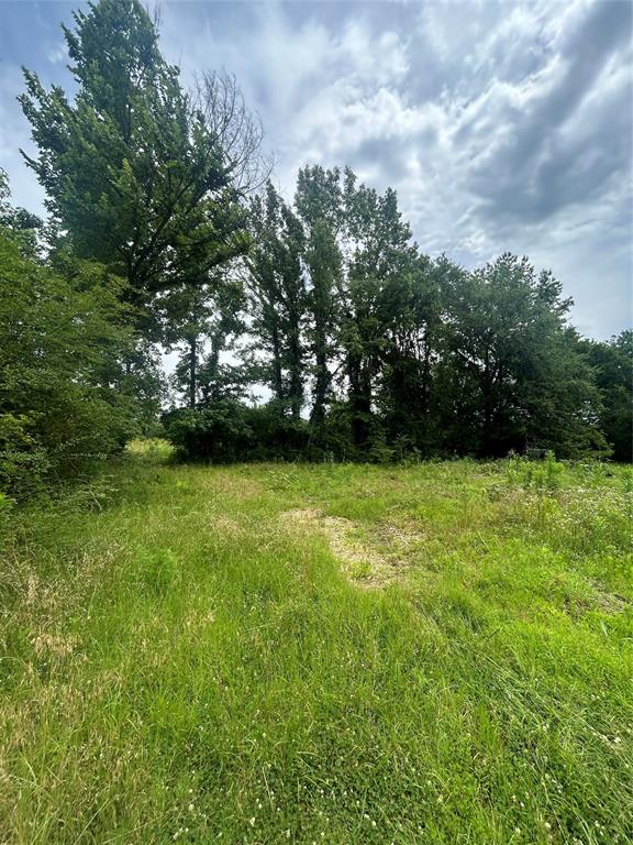 664 River Ferry Road Garvin, OK 74736 - Photo 7 of 10 View of yard