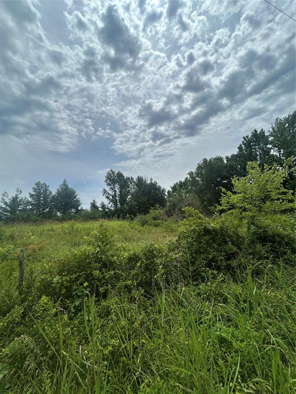 664 River Ferry Road Garvin, OK 74736 - Photo 10 of 10 View of local wilderness