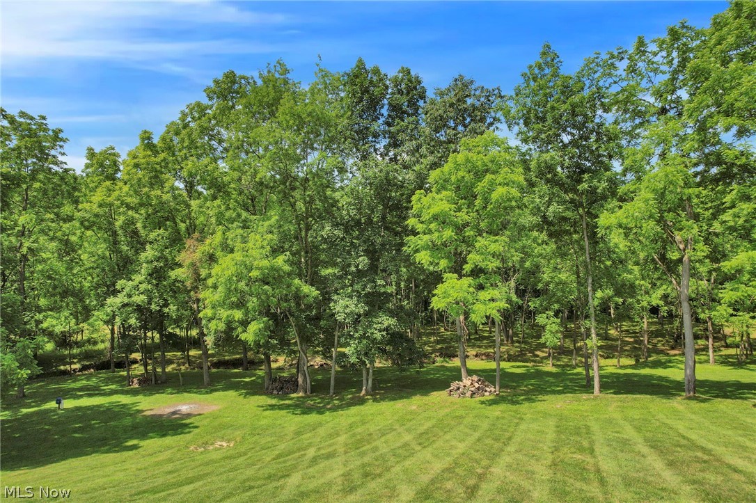 60145 Bliss Road New Concord, OH 43762 - Photo 44 of 49