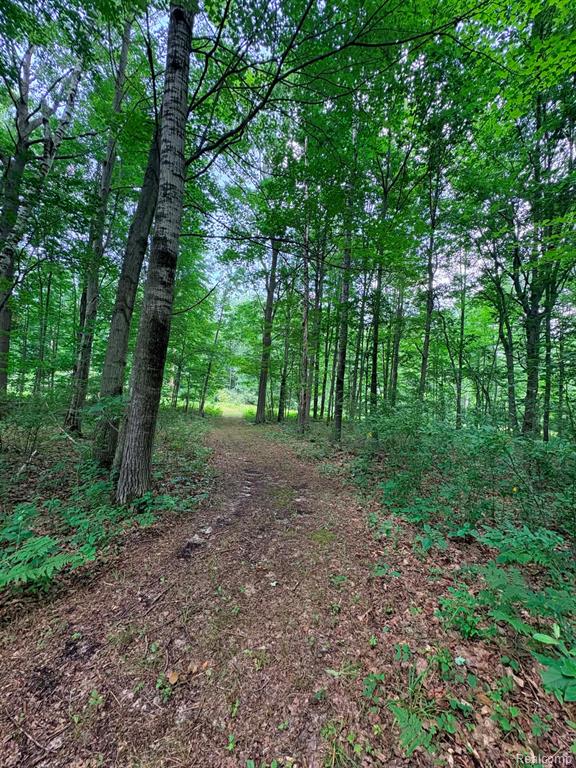 2159 East Bevens Road Caro, MI 48723 - Photo 33 of 38